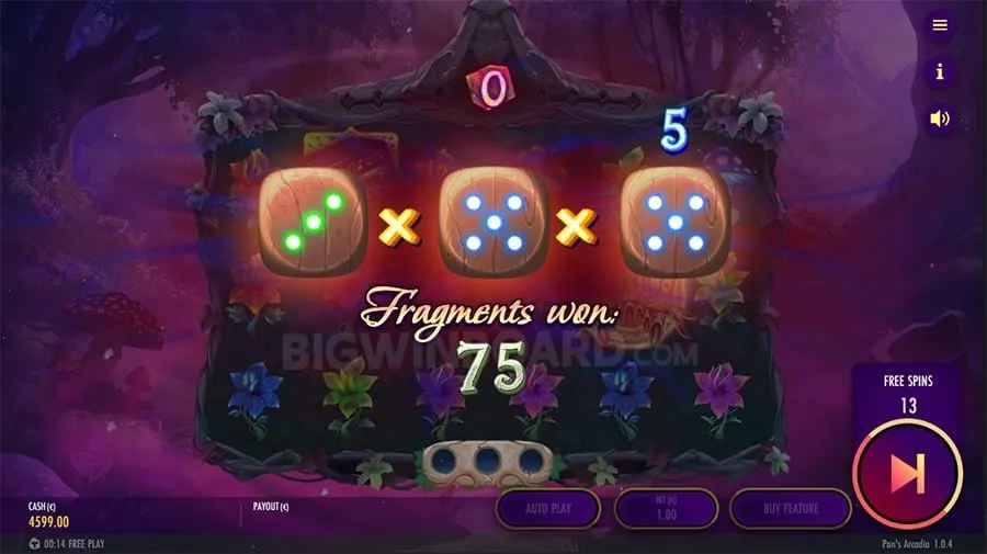Managing Cookie Preferences at Arena Plus Live